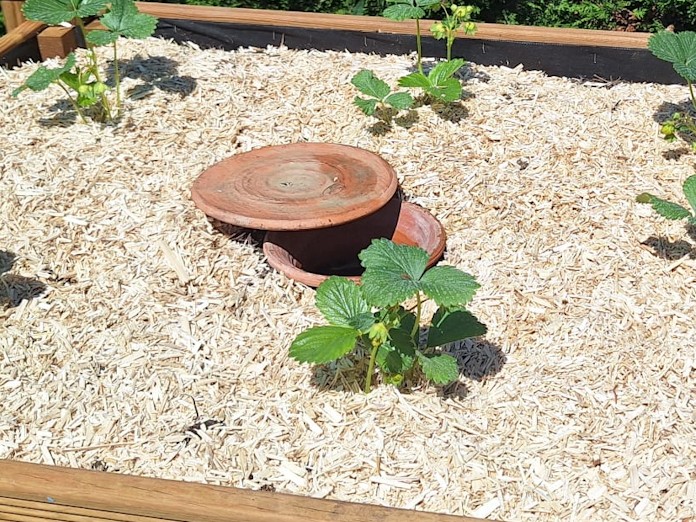 oya fait exprès pour les bacs à jardinière et jardinière sur pieds